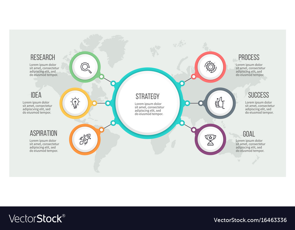 Business hierarchy infographic organization chart Vector Image