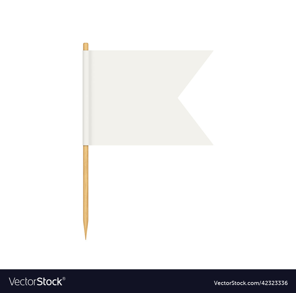 Toothpick flag blank on wooden stick wood Vector Image