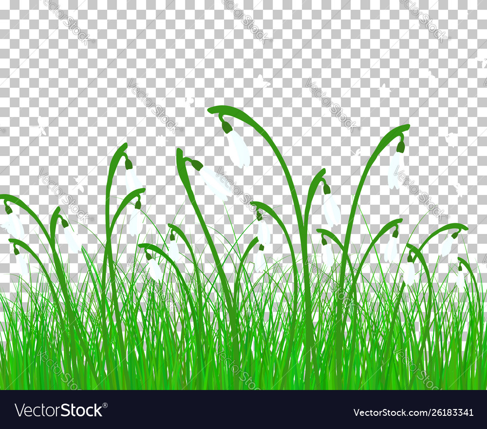 Summer Meadow Royalty Free Vector Image - Vectorstock