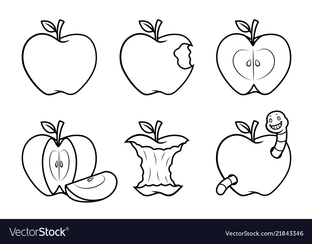 Apple fruit