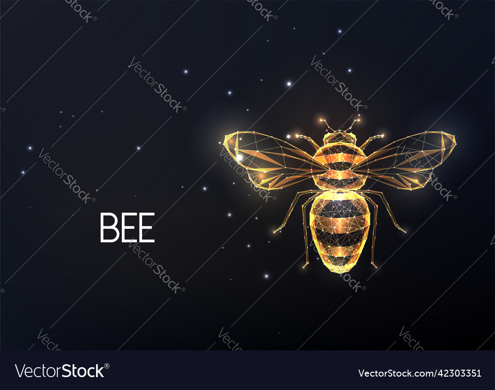 Abstract Golden Bee Honeybee Made Of Lines Stars Vector Image