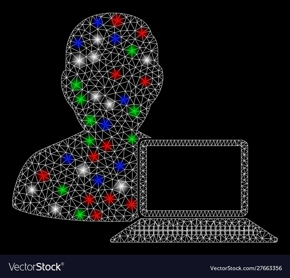 Bright mesh wire frame computer programmer Vector Image