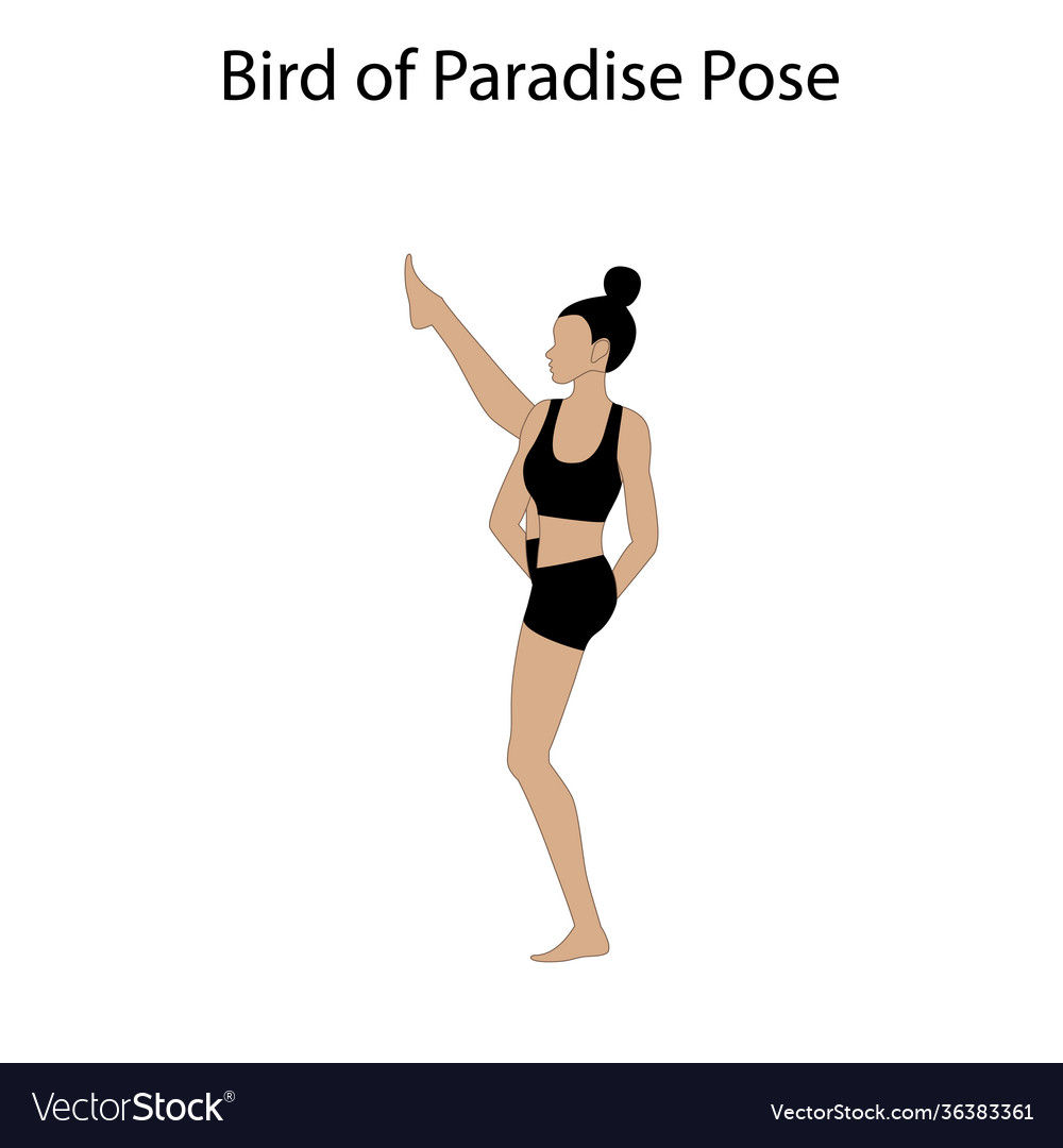 Sunbird Yoga Pose Stock Photo - Download Image Now - White Background,  Exercising, Portrait - iStock