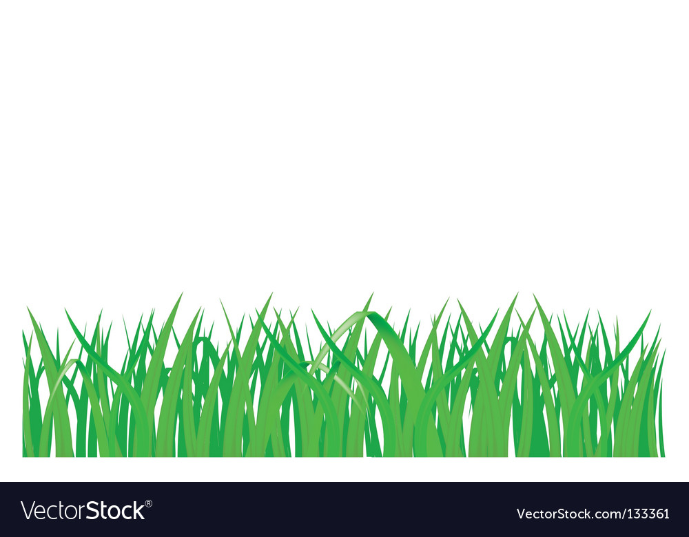 Grass