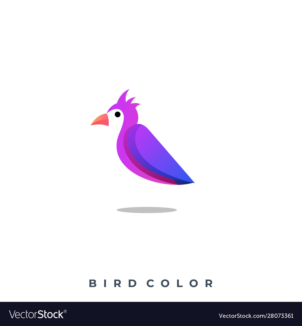 Modern bird colorful template