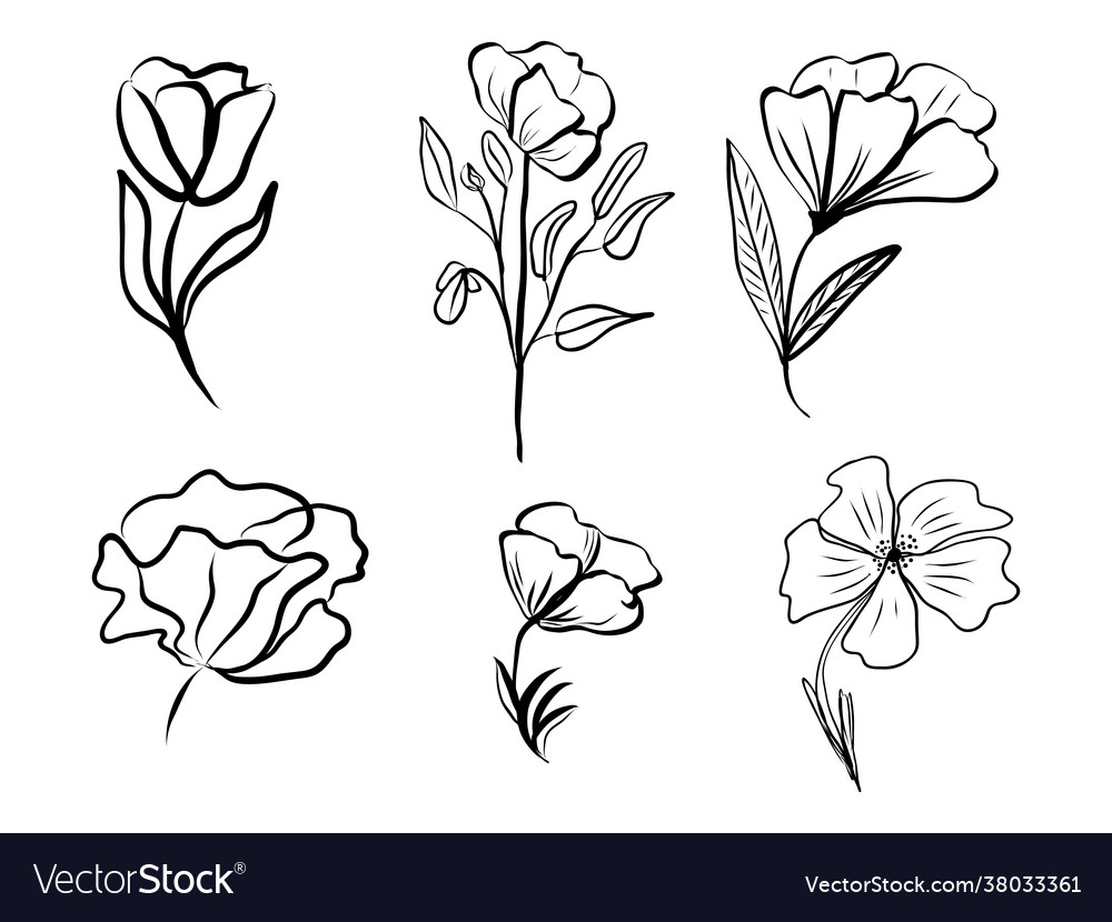 Set abstract flower hand drawn line-art Royalty Free Vector