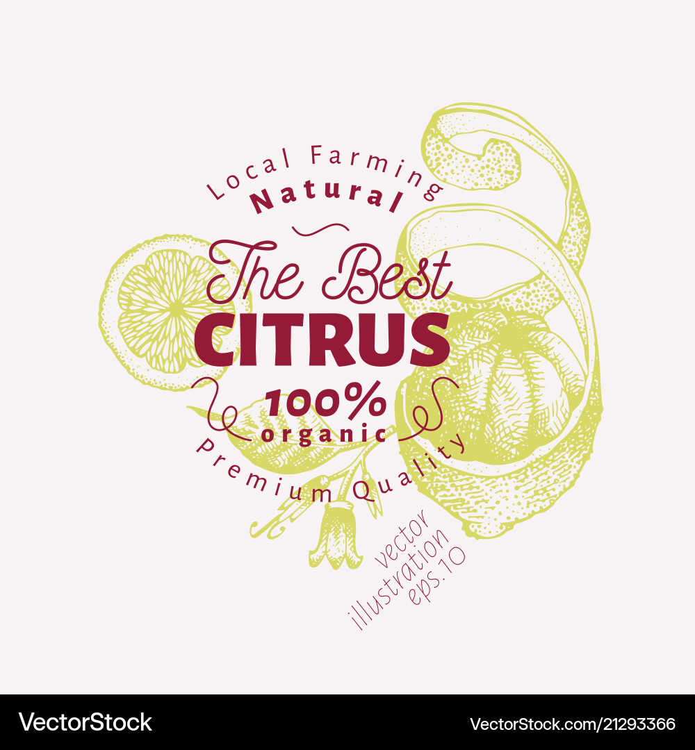 Lemon hand drawn fruit Royalty Free Vector Image