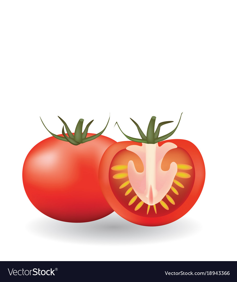 one whole and one sliced tomato royalty free vector image