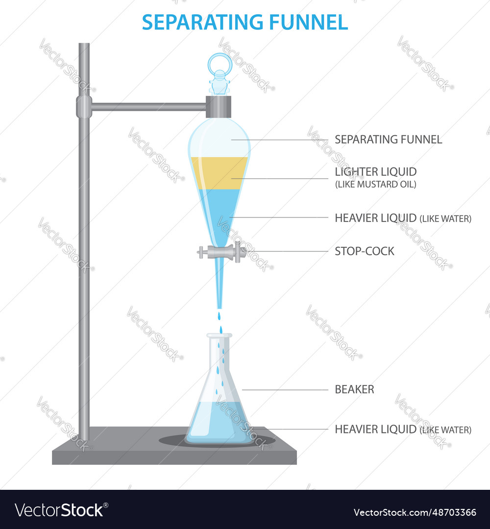 Separating funnel used to separate two Royalty Free Vector