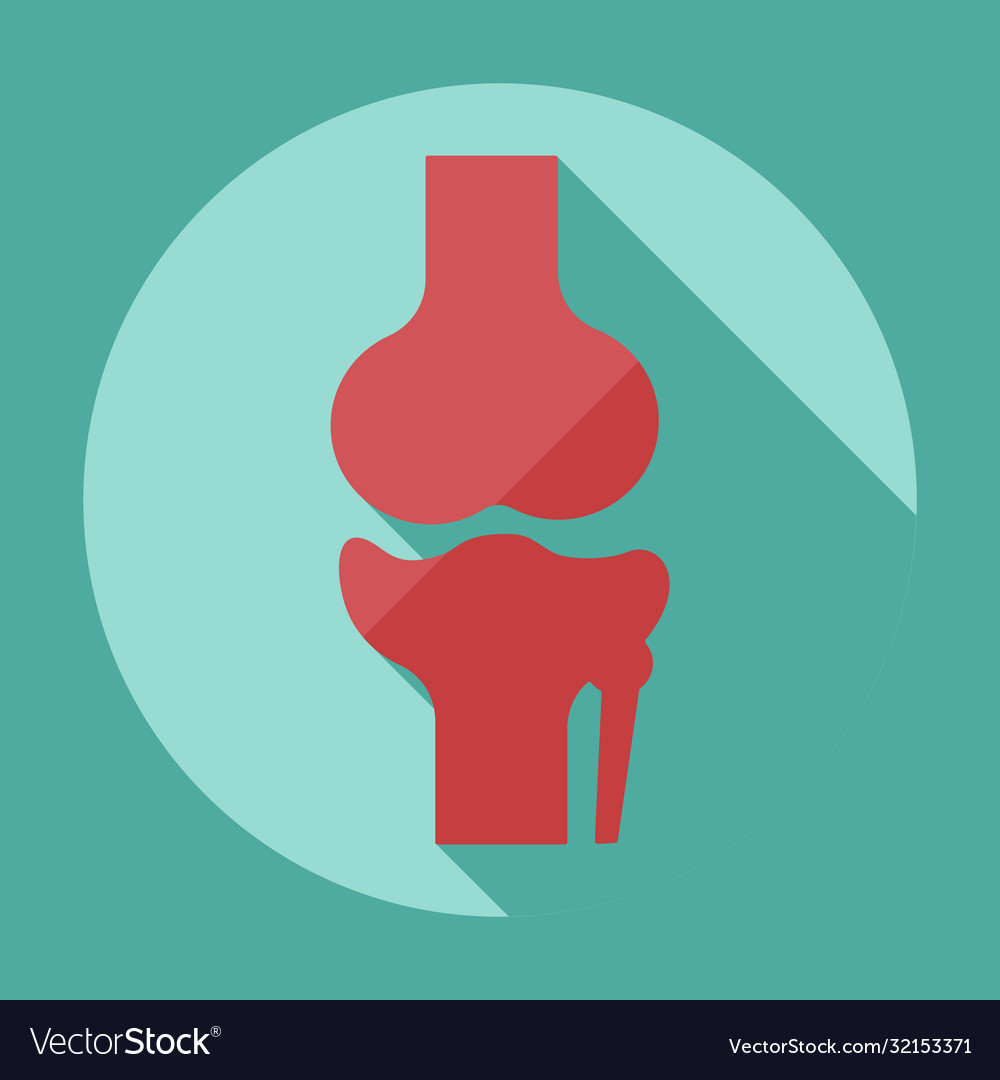 Flat modern design with shadow knee-joint Vector Image