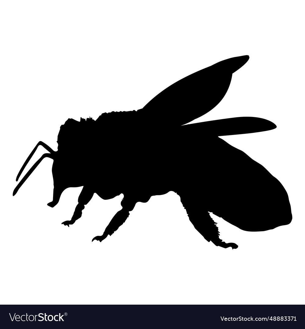 Honey bee silhouette Royalty Free Vector Image