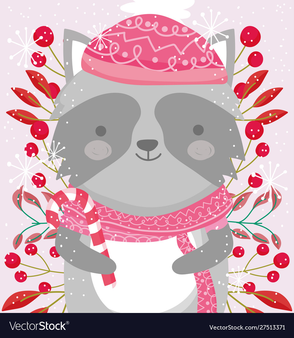 Raccoon with scarf hat berries and leaves merry