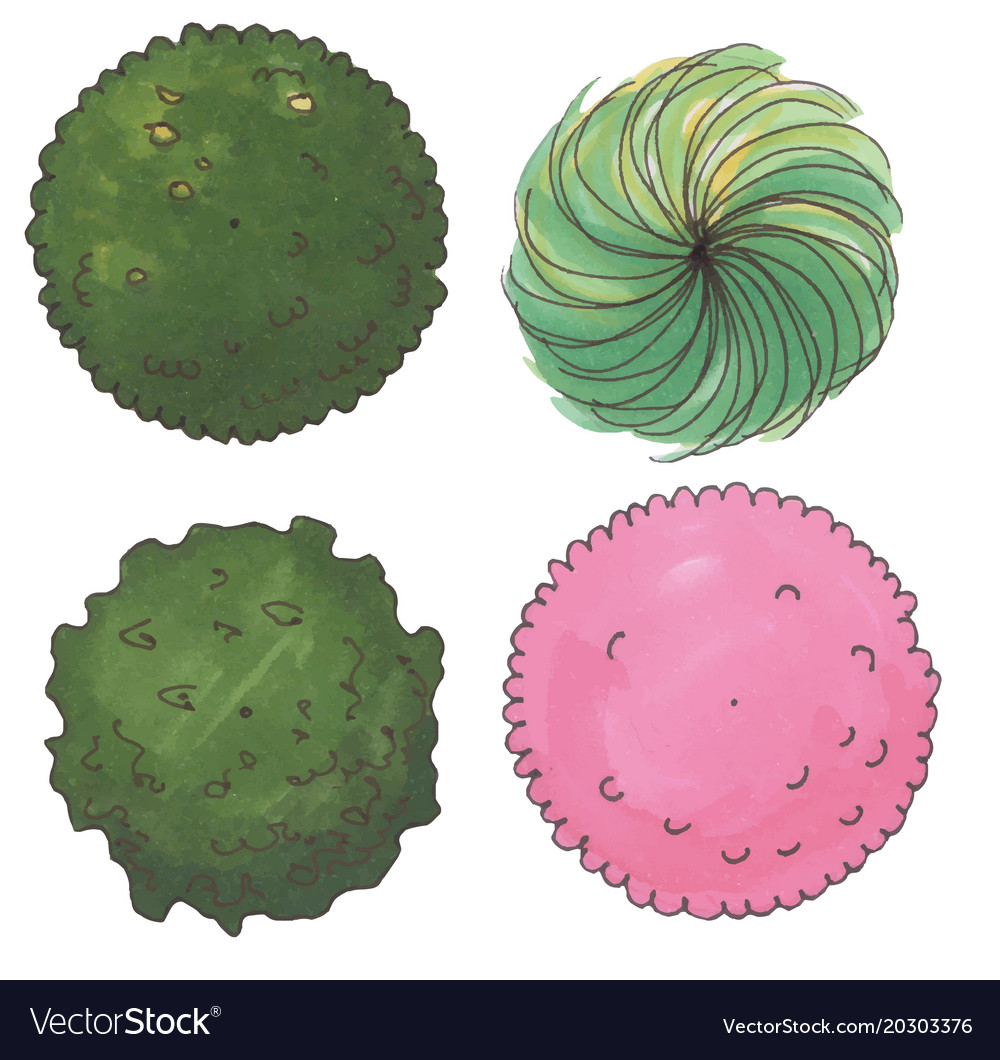 Hand drawn tree top trees and bushes Royalty Free Vector