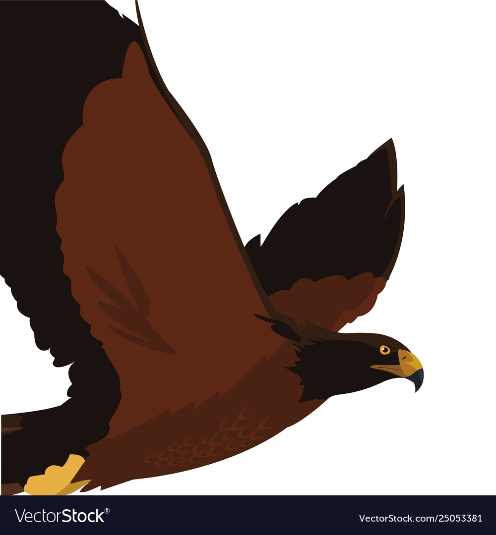 Beautiful eagle flying majestic bird Royalty Free Vector Beautiful eagle flying majestic bird Royalty Free Vector