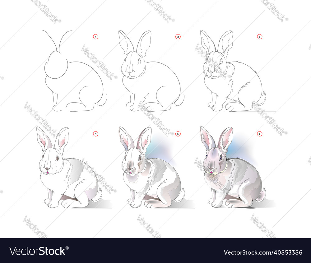 How to learn to draw sketch of cute little rabbit Vector Image