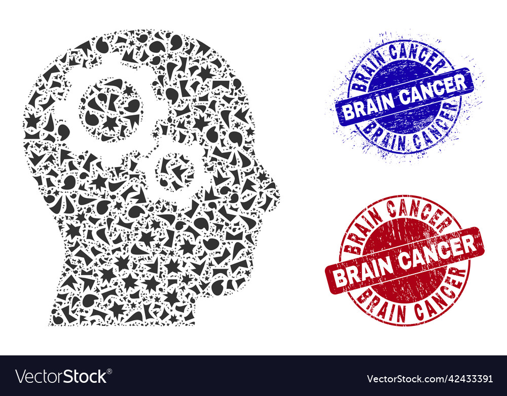 Brain gears mosaic of fractions with cancer