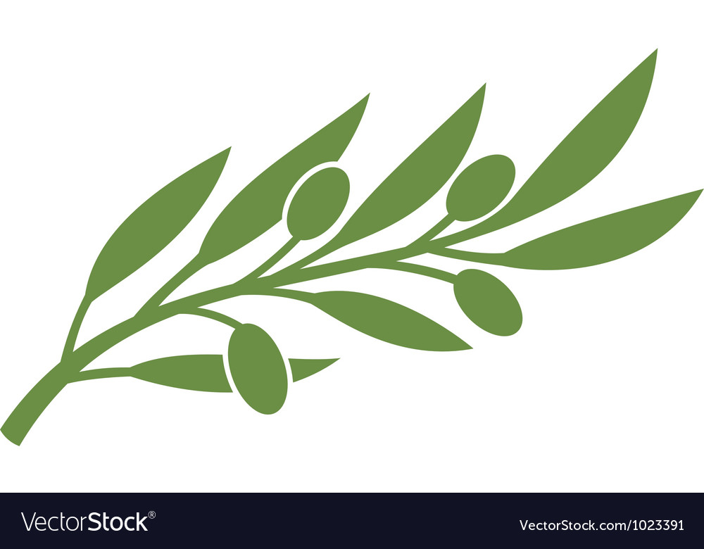 Green Olive Branch Symbol Royalty Free Vector Image