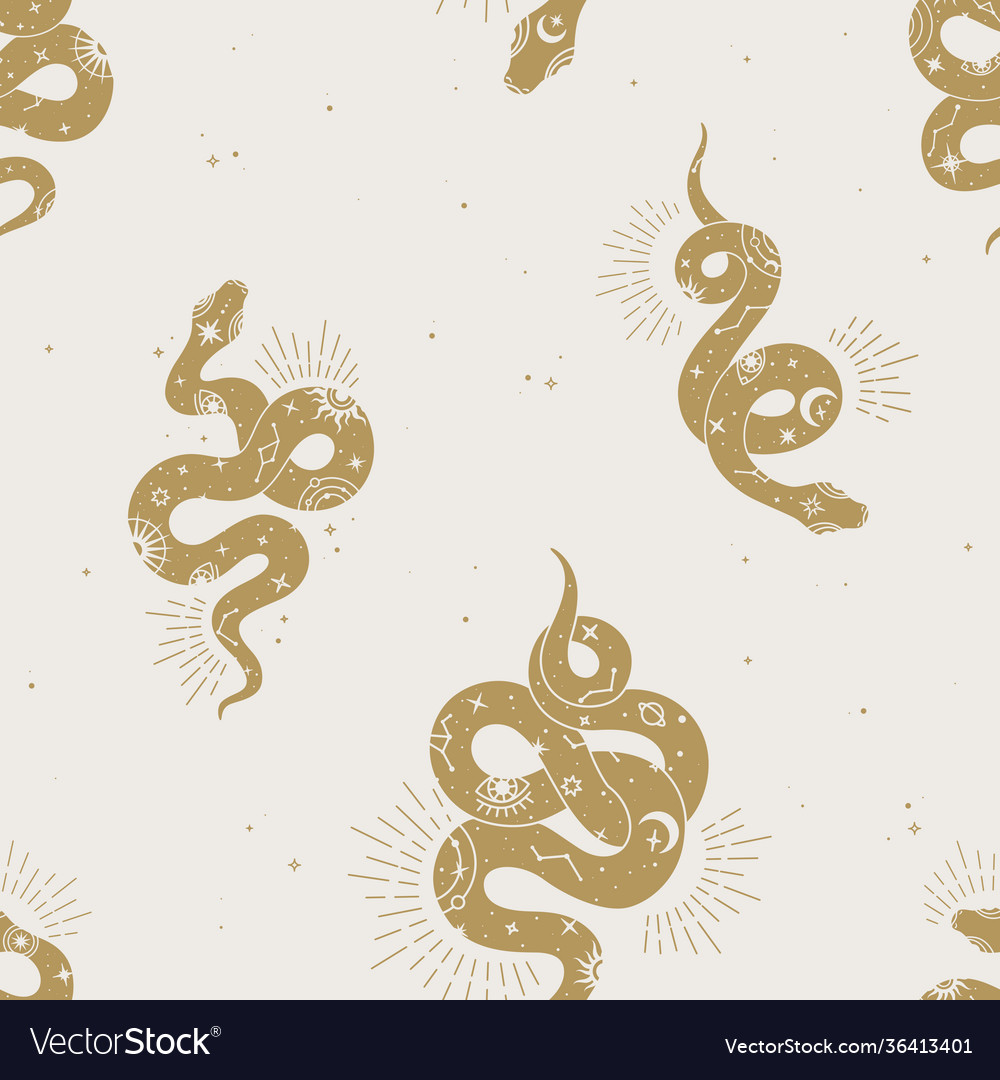Magic seamless pattern with snake Royalty Free Vector Image