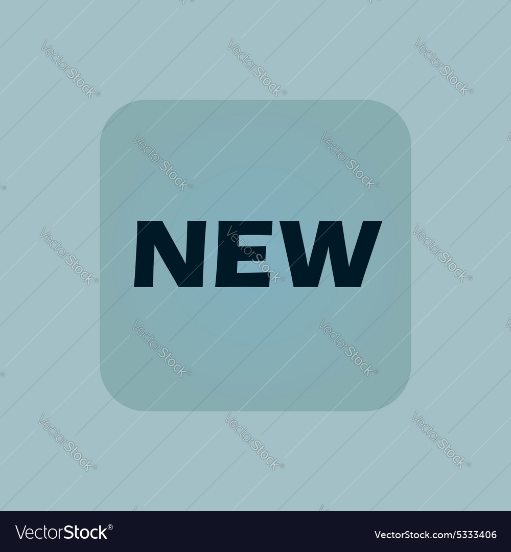 Pale blue new icon Royalty Free Vector Image - VectorStock