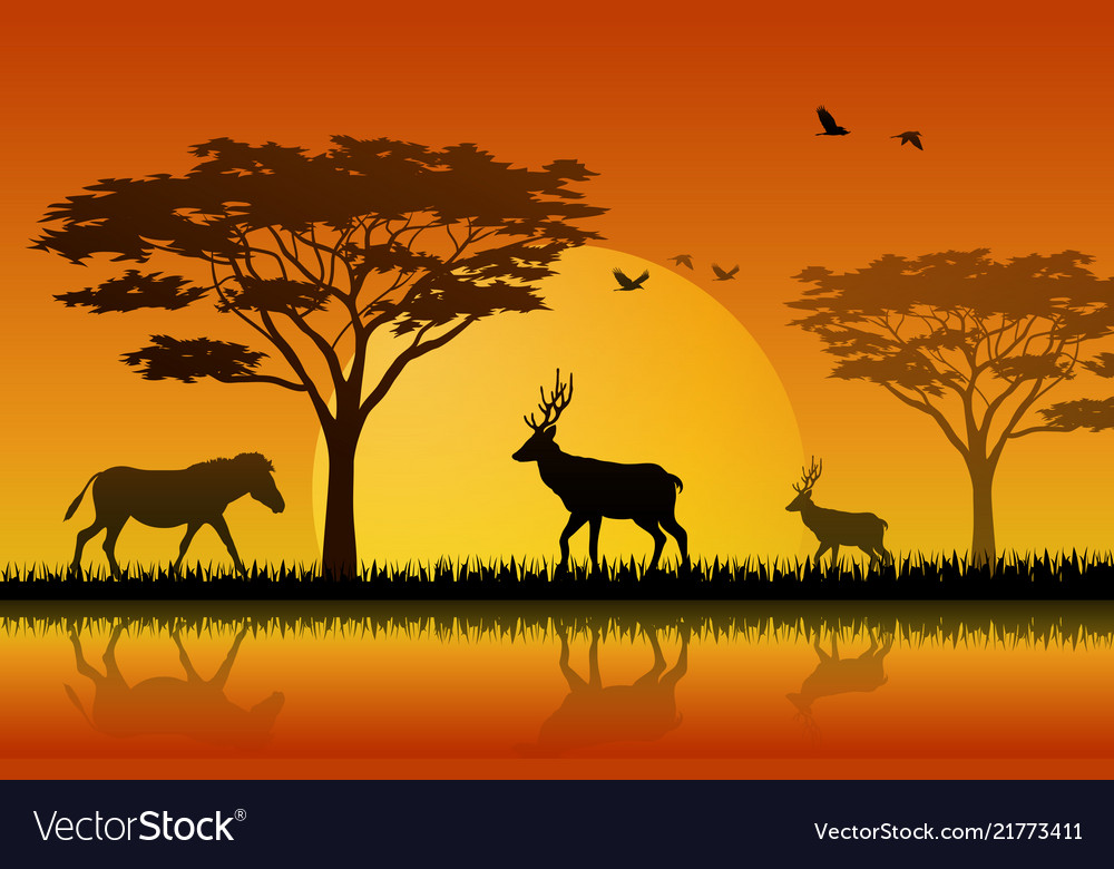 Silhouette horse and deer at lake in savanah Vector Image