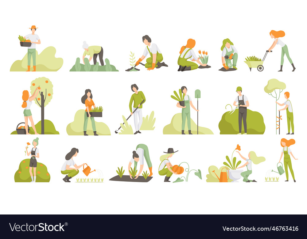 People garden worker planting harvesting Vector Image