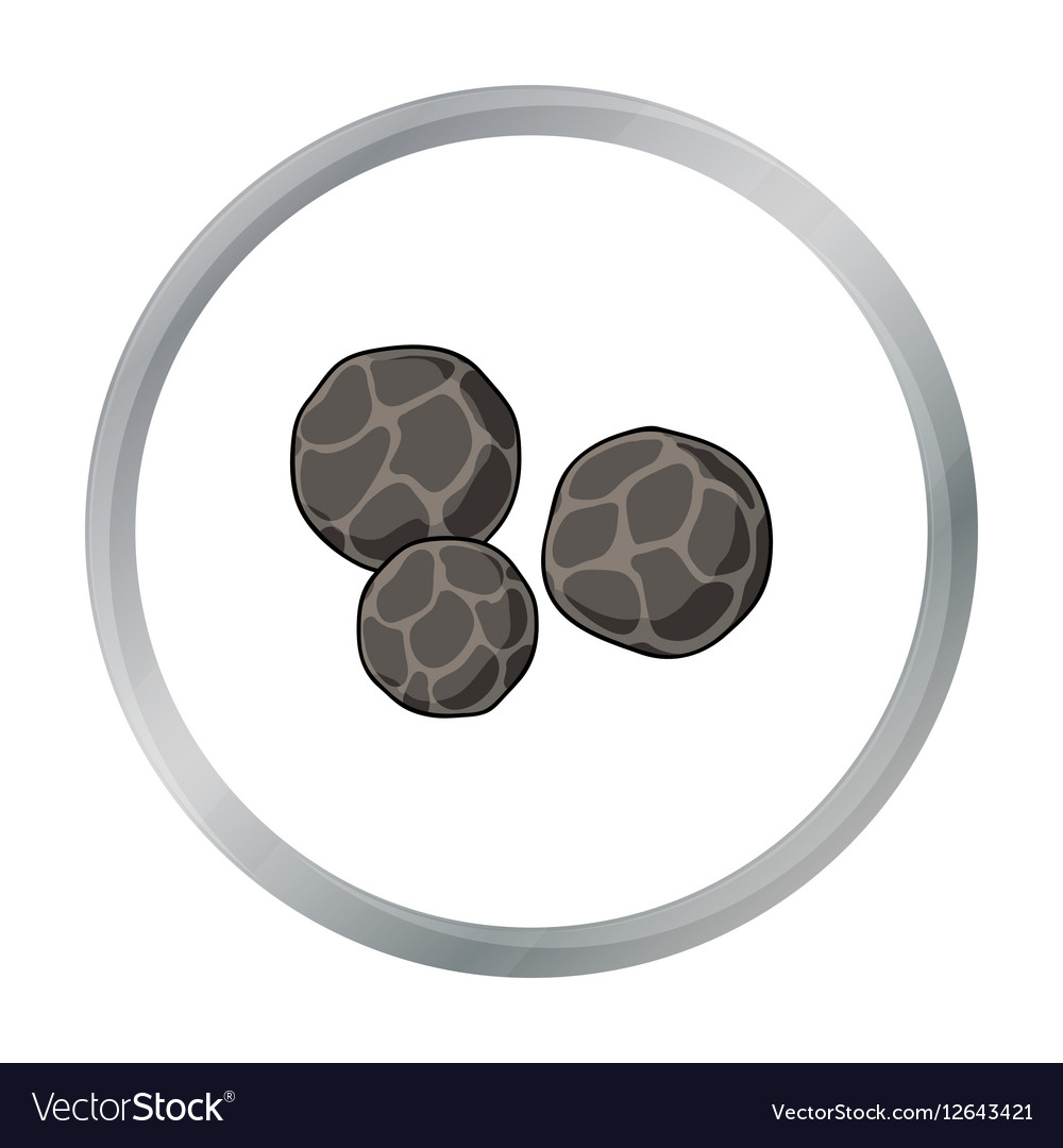 Black pepper icon in cartoon style isolated Vector Image