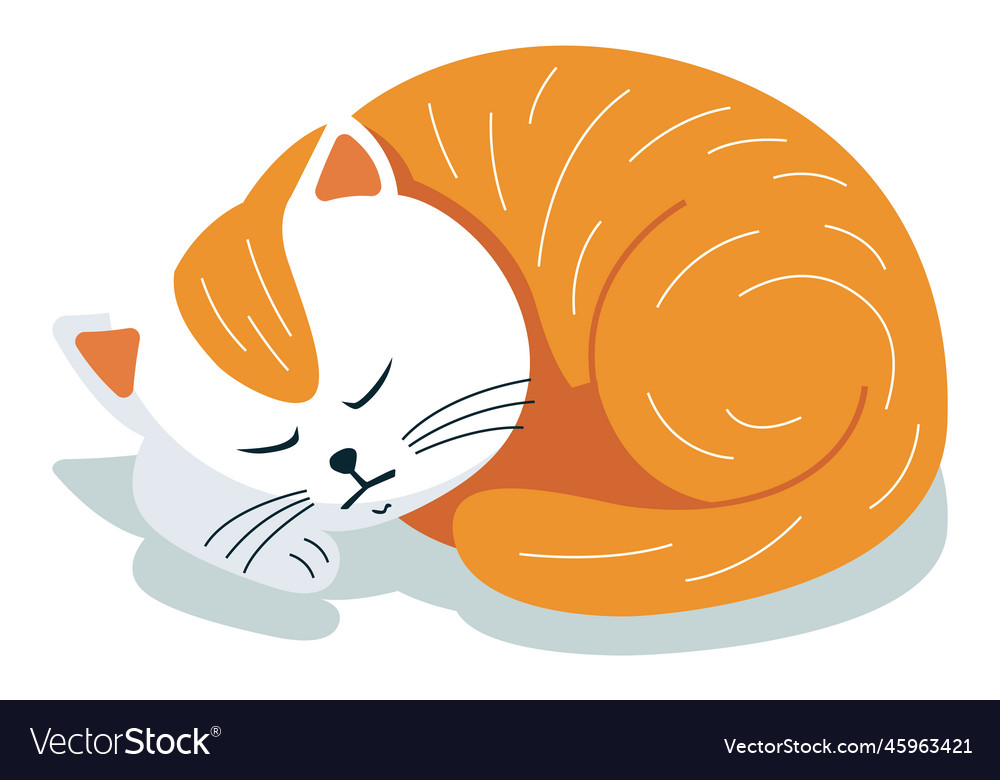 Cute sleeping red cat the cat will curl up Vector Image