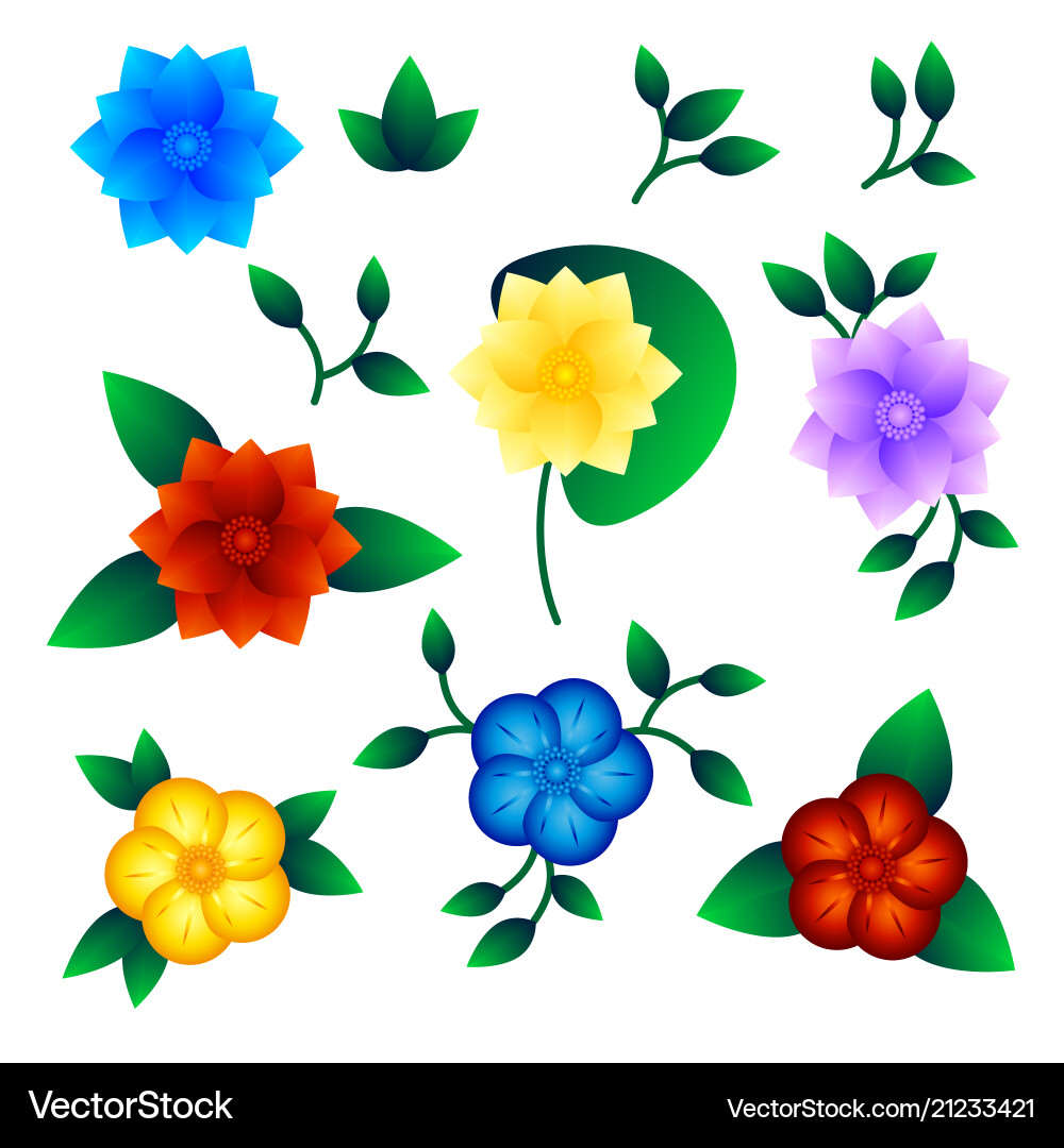 Set exotic flower Royalty Free Vector Image - VectorStock
