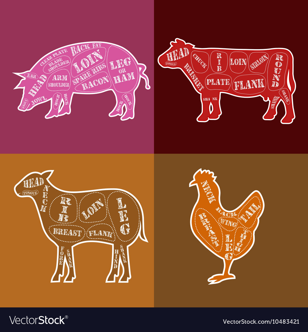 Set of butcher shop labels and design elements