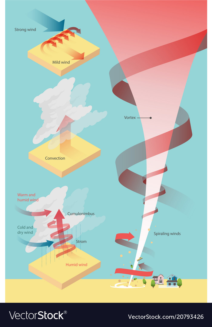 Tornado damage Royalty Free Vector Image - VectorStock