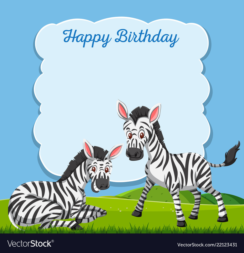 Zebra on happy birthday card Royalty Free Vector Image