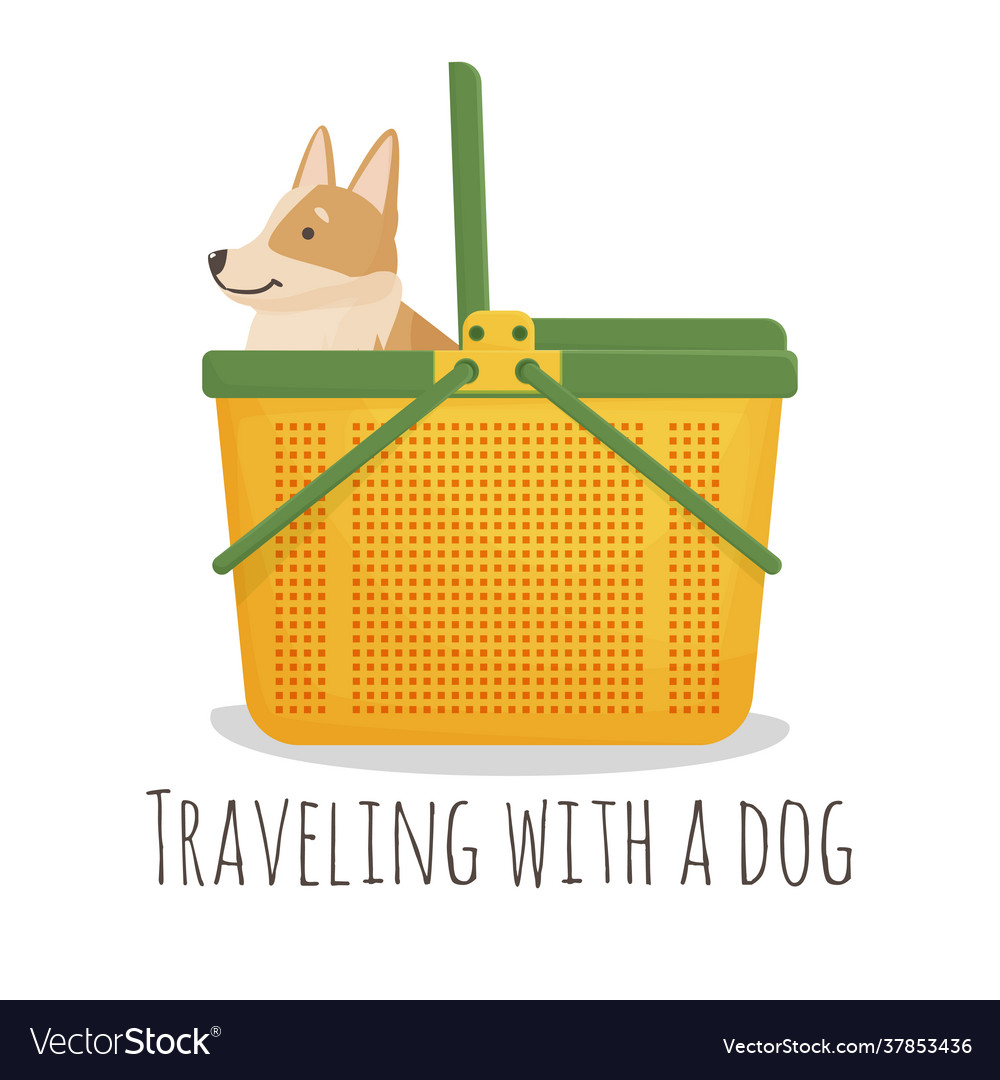 Corgi carrier hot sale