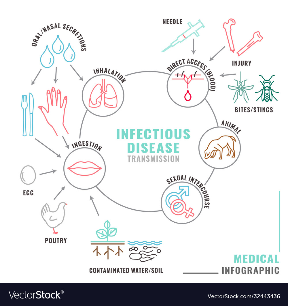 Infectious Disease Transmission Royalty Free Vector Image 1975