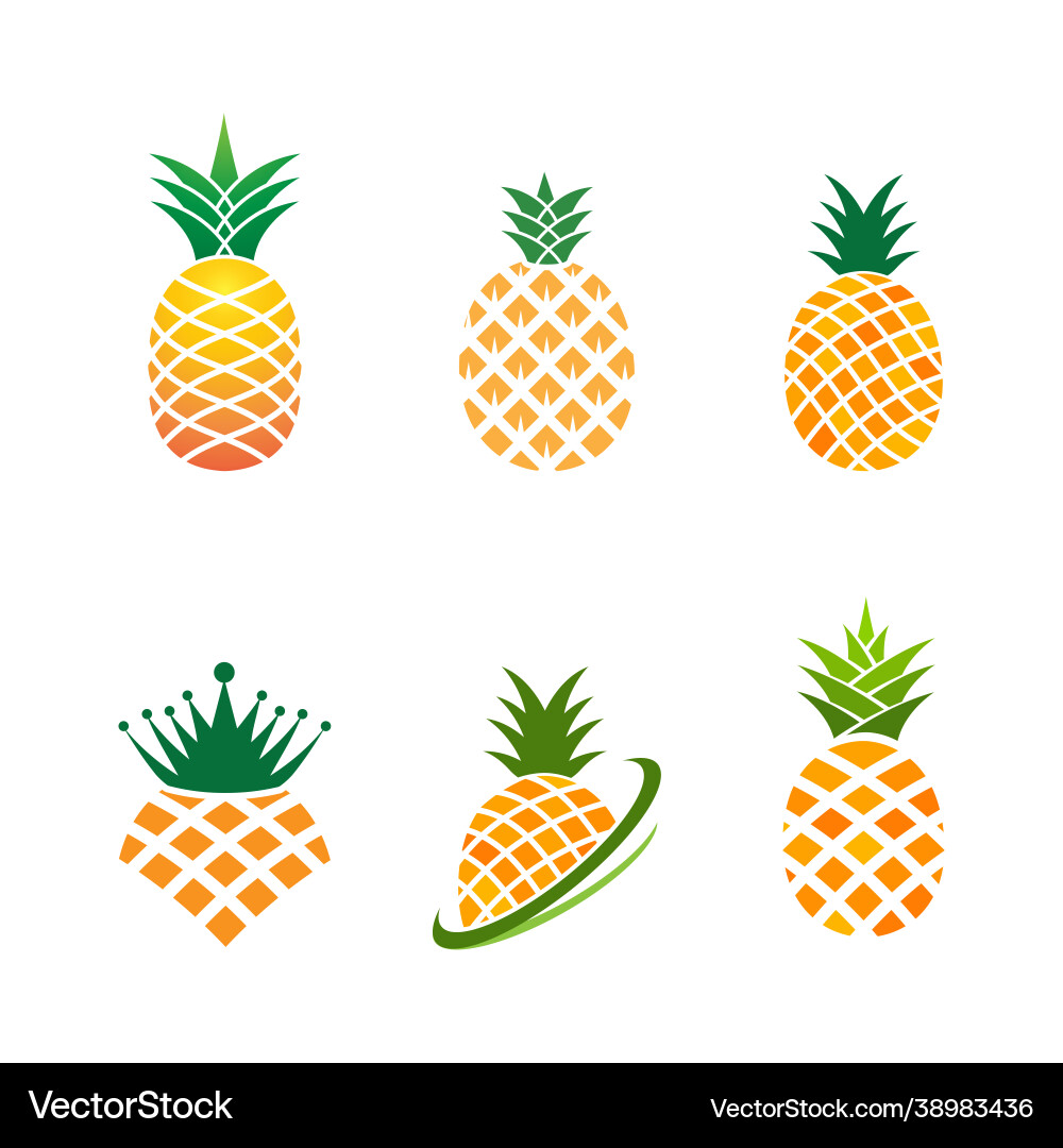 Pineapple fruit icon template Royalty Free Vector Image