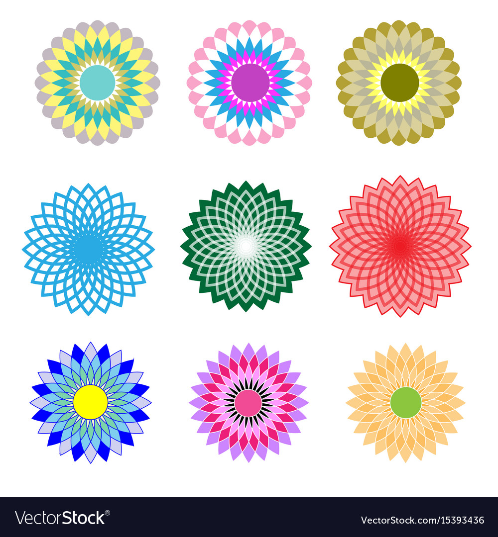 Set floral pattern Royalty Free Vector Image - VectorStock