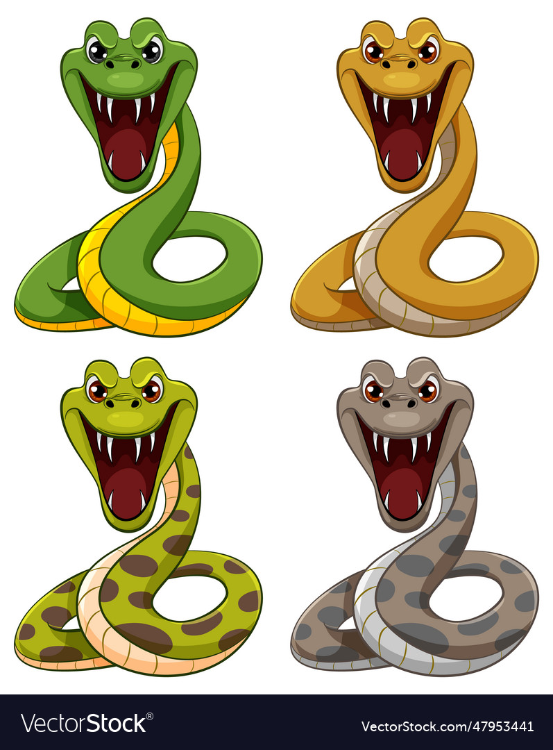 Four python snakes Royalty Free Vector Image - VectorStock