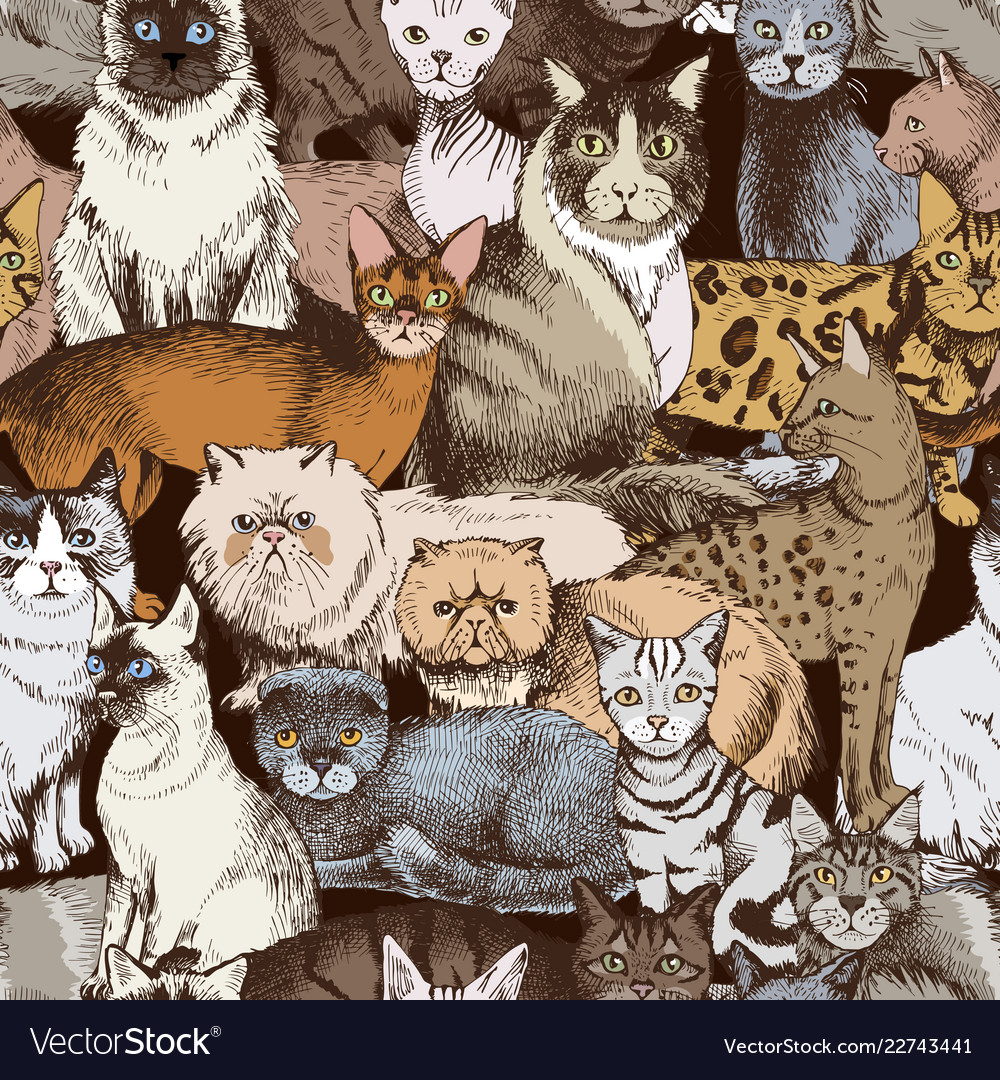 Seamless pattern with 16 hand drawn purebred cats vector image Seamless pattern with 16 hand drawn purebred cats