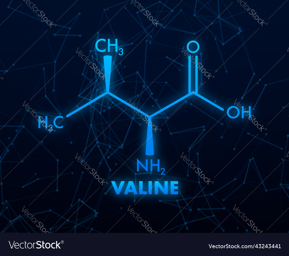 Valine formula for medical design Royalty Free Vector Image