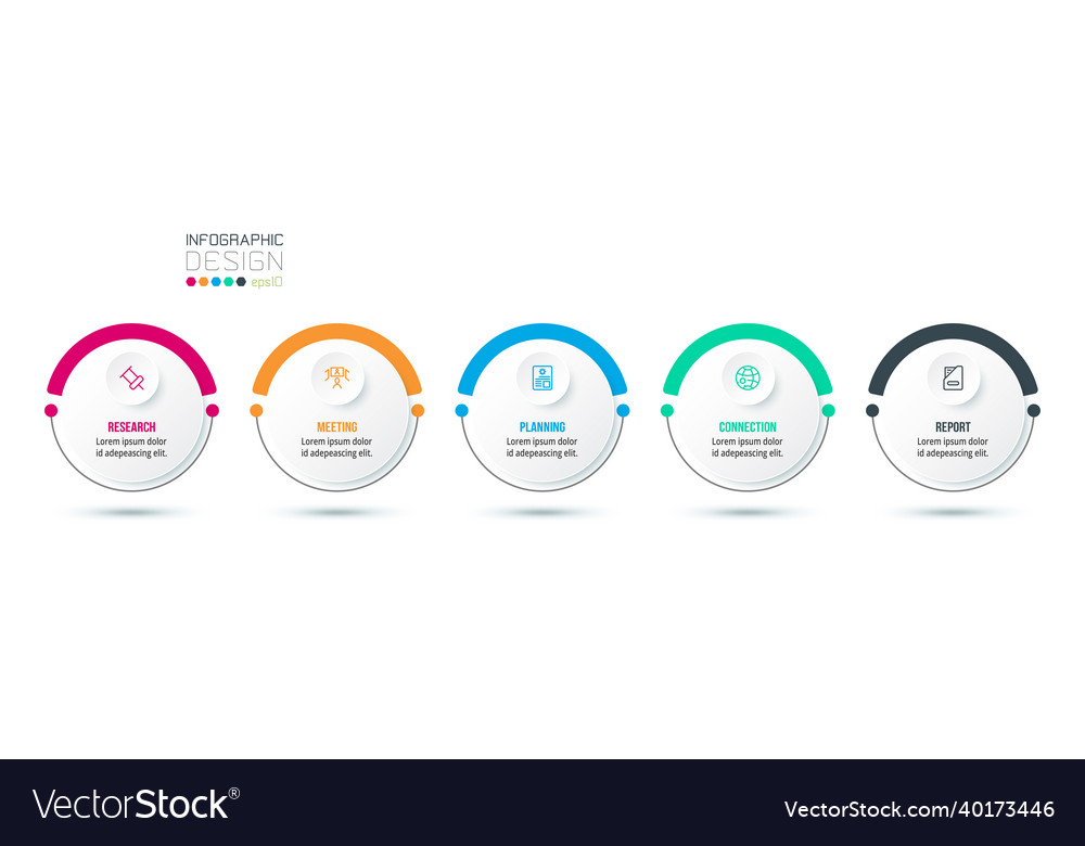 Business concept infographic template with option