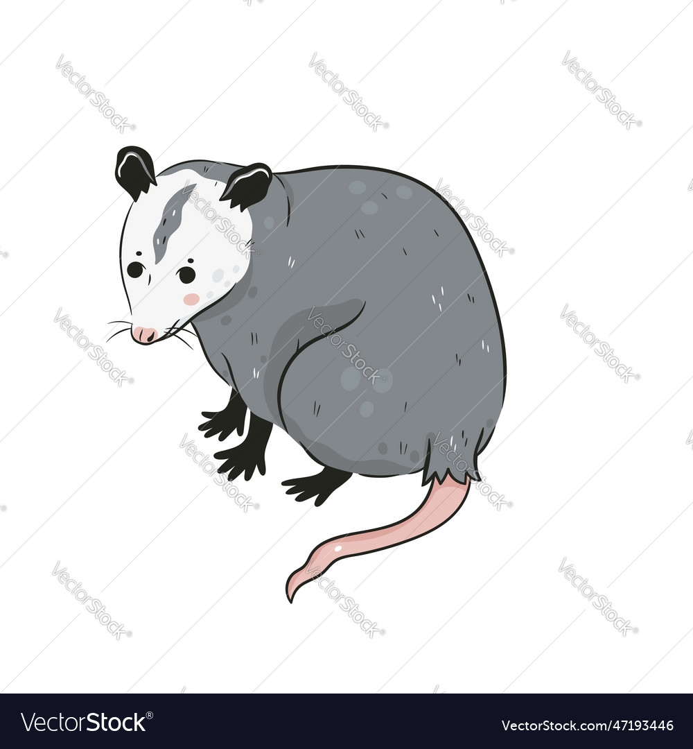 Cute opossum isolated on a white background Vector Image