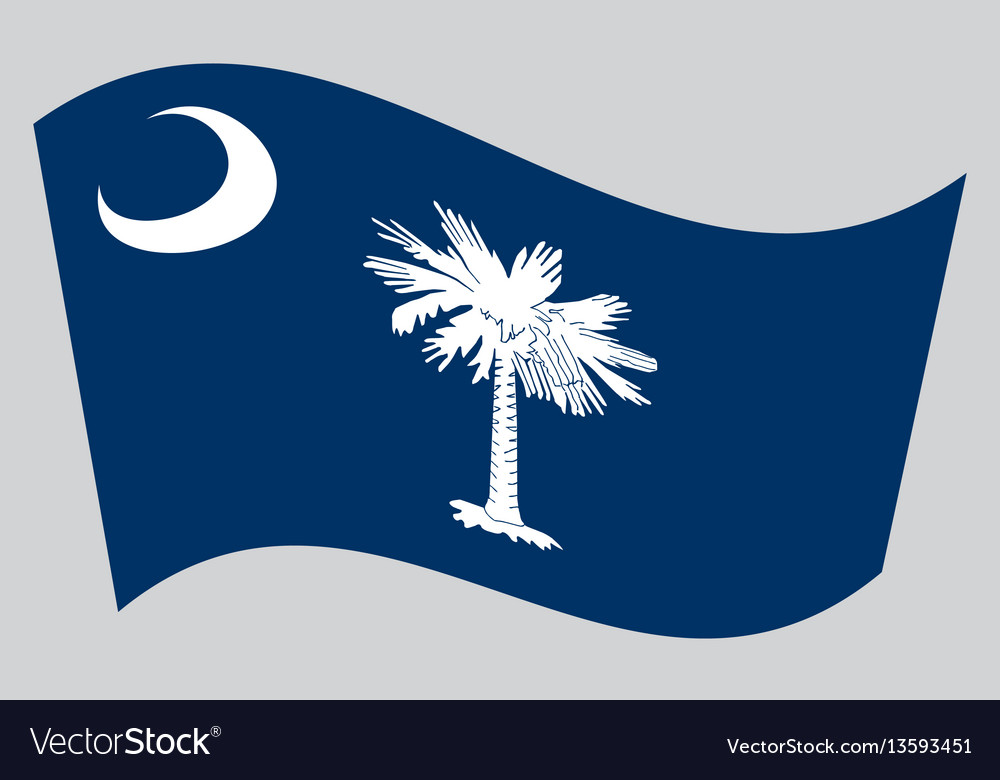 Flag Of South Carolina Waving On Gray Background Vector Image