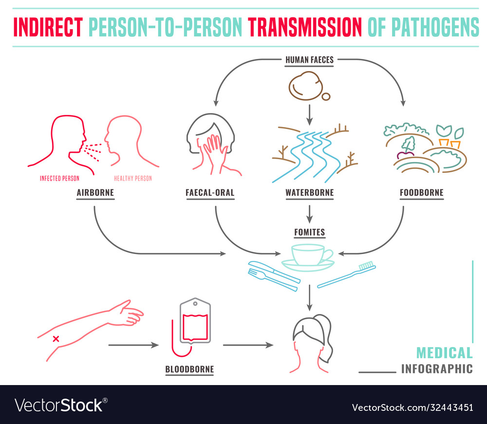 Indirect disease transmission Royalty Free Vector Image