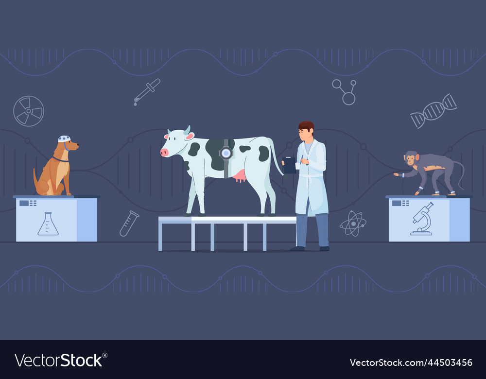 different animal experiments