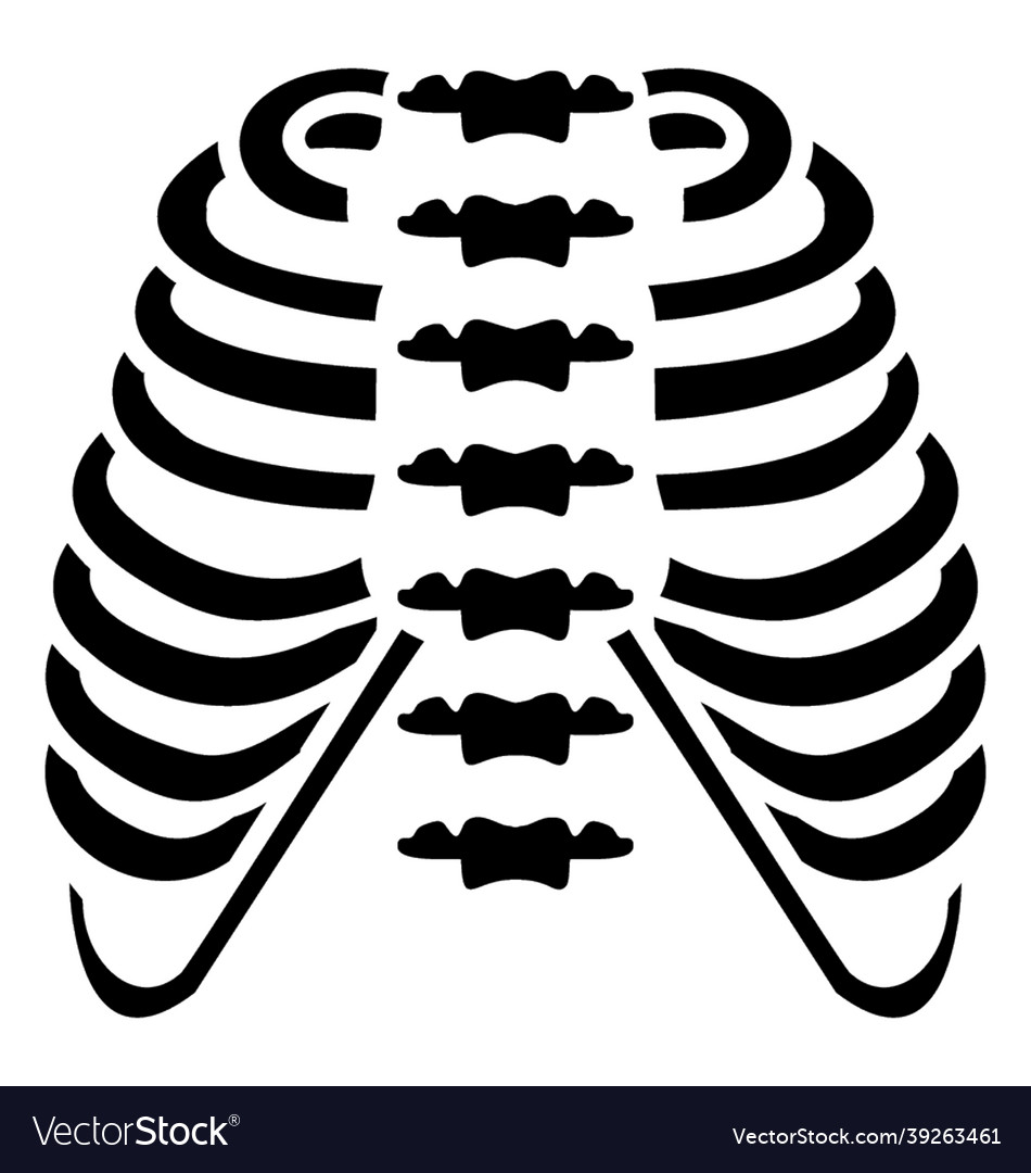 Rib cage Royalty Free Vector Image - VectorStock