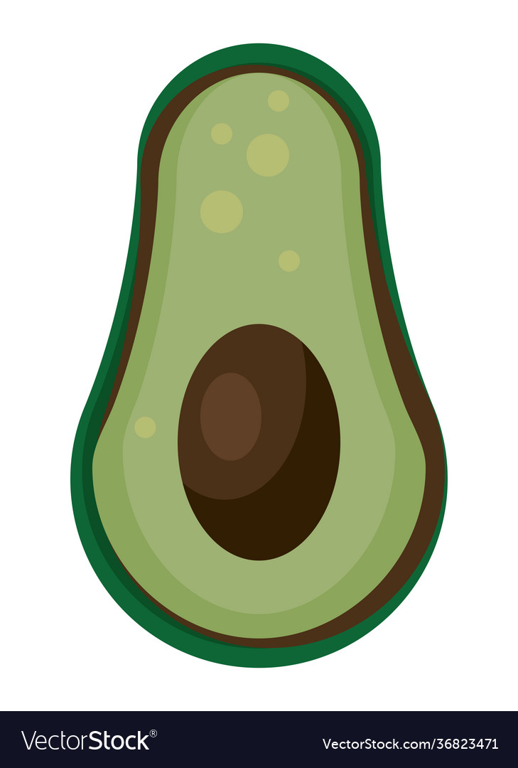 Avocado fresh vegetable