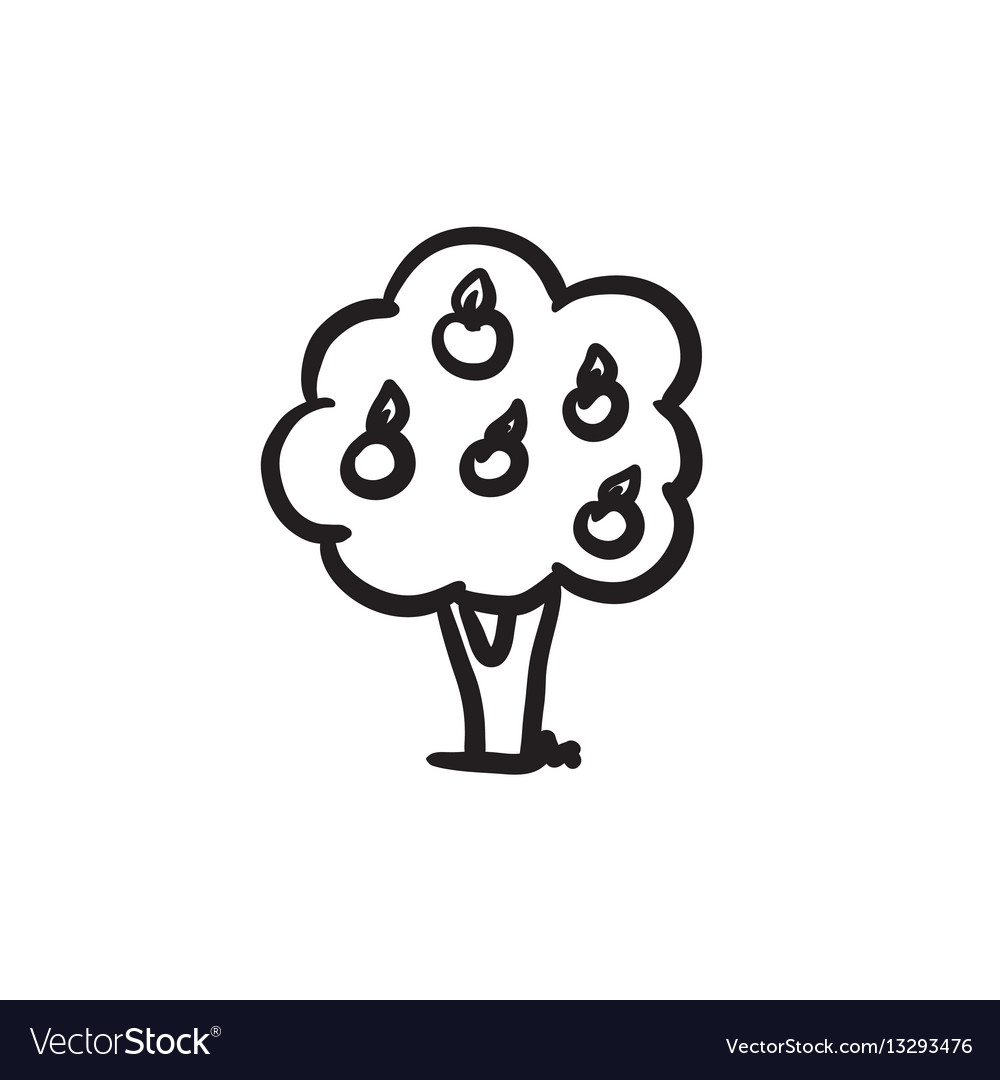 Fruit Tree Sketch Icon Royalty Free Vector Image