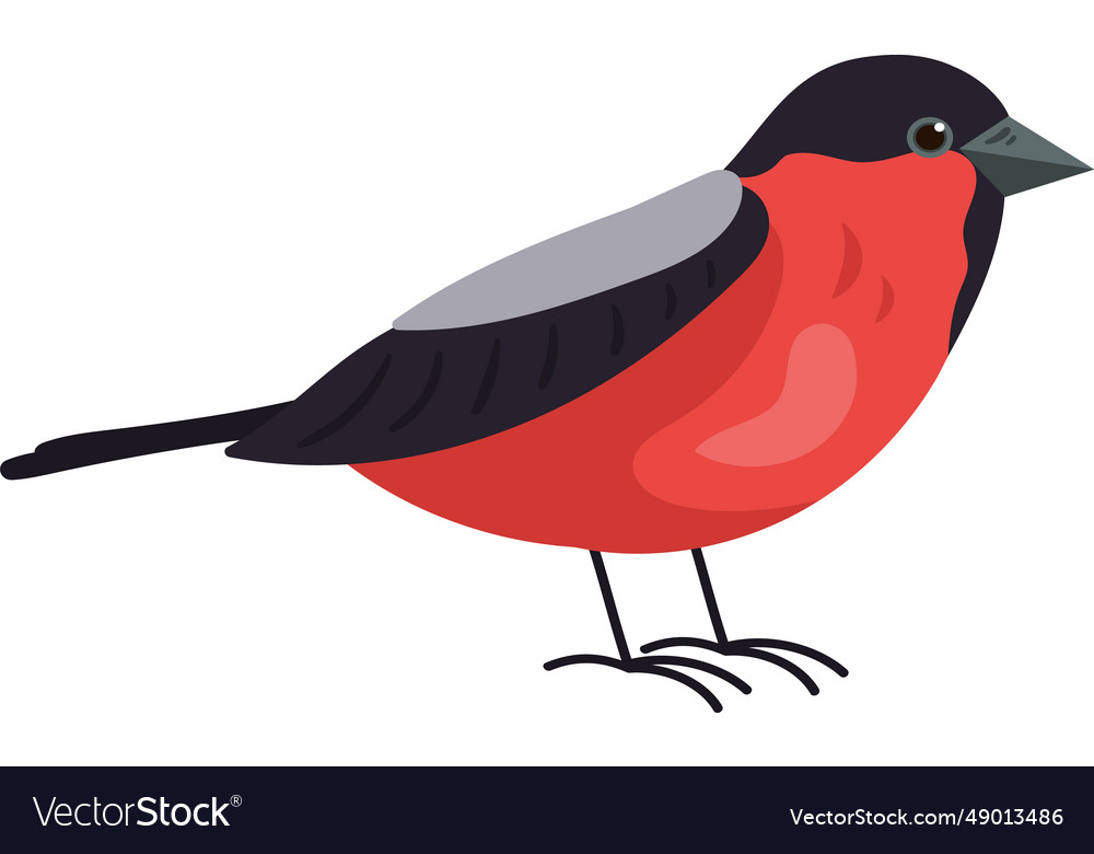 Bullfinch bird icon Royalty Free Vector Image - VectorStock