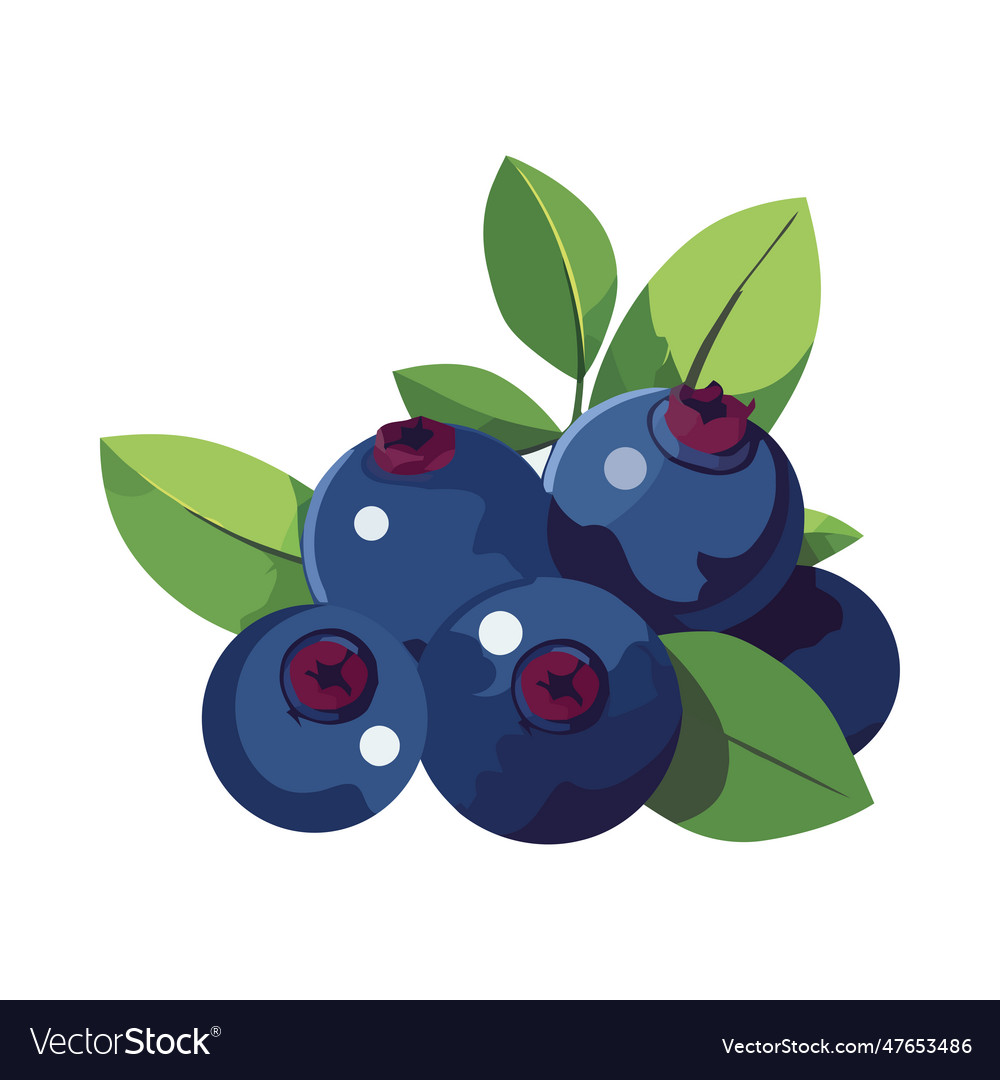 Ripe berry fruit on green leaf branch Royalty Free Vector