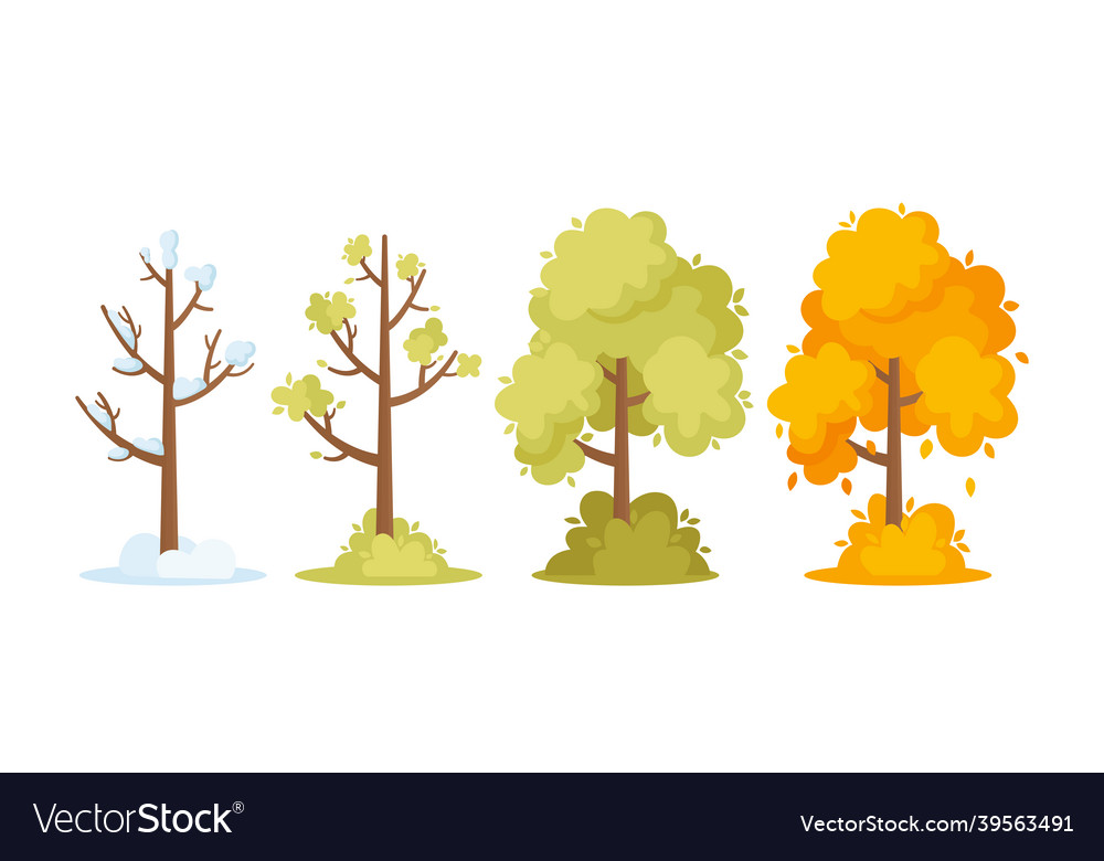 Winter spring summer and autumn seasons concept vector image Winter spring summer and autumn seasons concept