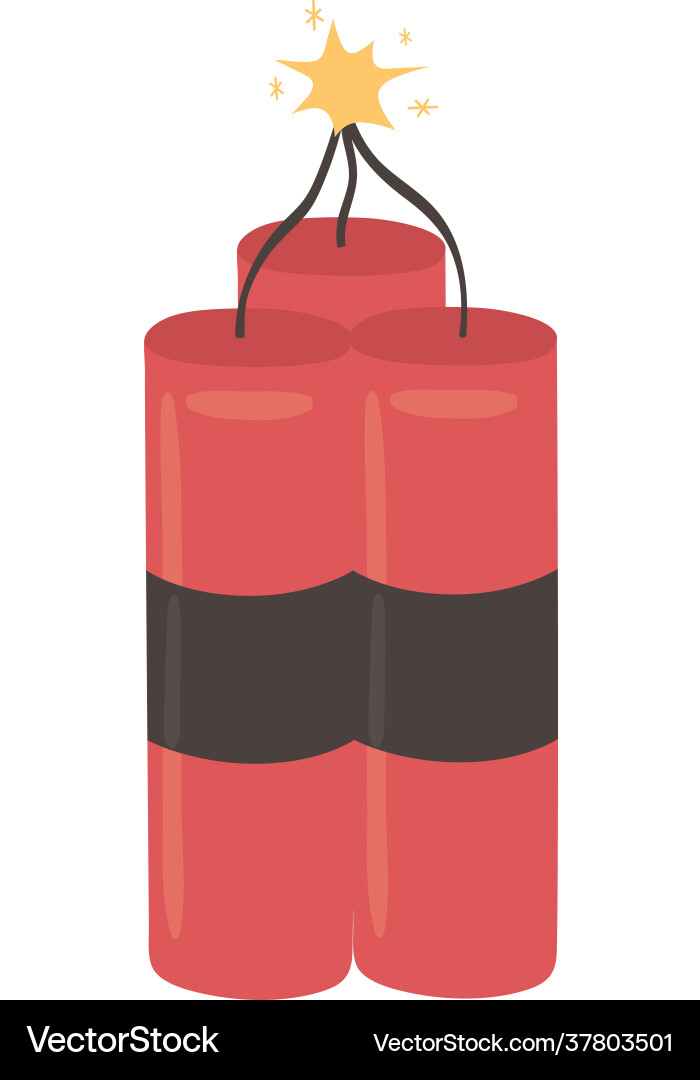 Dynamite bomb burning Royalty Free Vector Image
